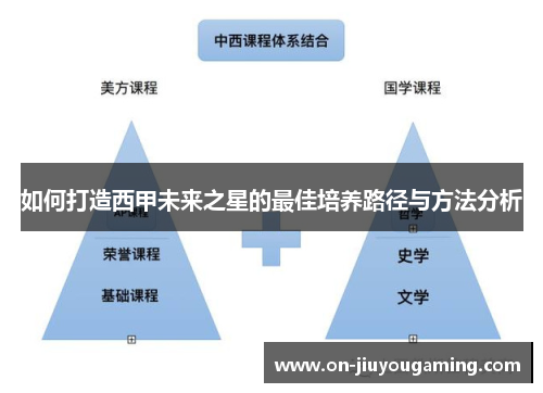 如何打造西甲未来之星的最佳培养路径与方法分析