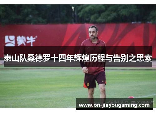 泰山队桑德罗十四年辉煌历程与告别之思索