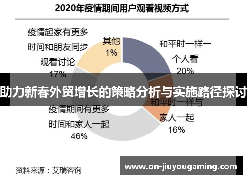 助力新春外贸增长的策略分析与实施路径探讨